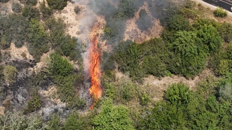 Karabük'te Orman Yangını Kontrol Altına Alındı