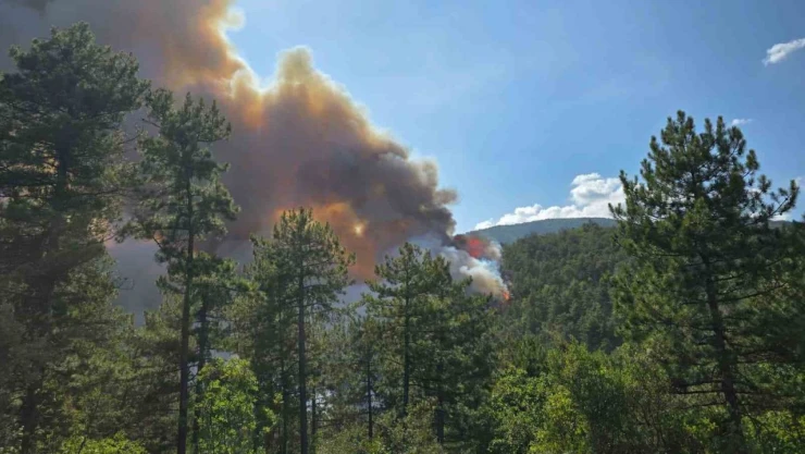 Karabük'te Orman Yangını Rüzgarın Etkisiyle Büyüyor