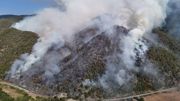 Karabük'te Orman Yangını