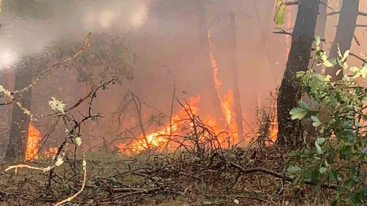 Karabük'te Orman Yangını
