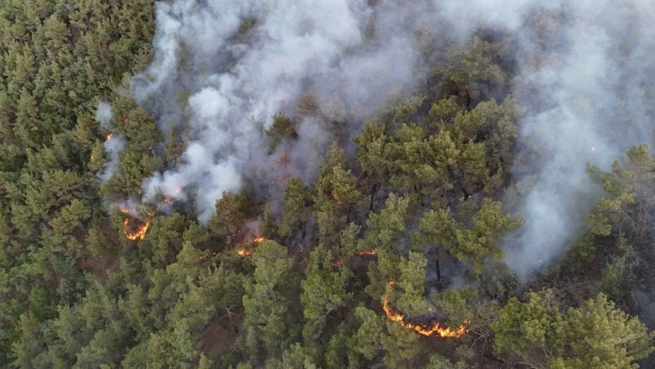 Karabük'te Orman Yangınına Müdahale 6 Saattir Aralıksız Sürüyor