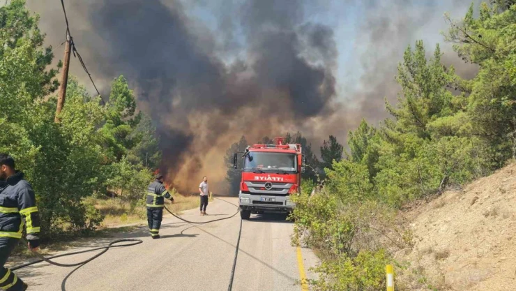 Karabük'te Orman Yangınında İki Mahalle Tahliye Edildi