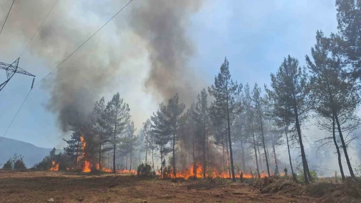 Örtü Yangını Kontrol Altına Alındı