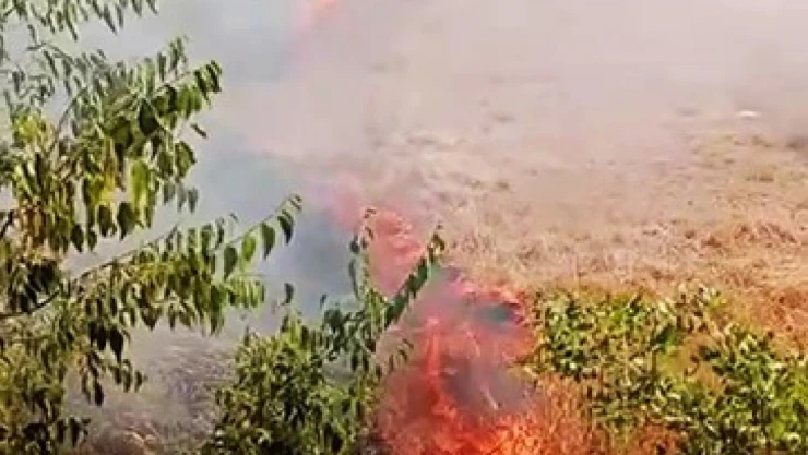 Karabük'te Ot Yangını Büyümeden Söndürüldü