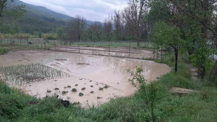 Karabük'te Sağanak Ve Dolu Etkili Oldu