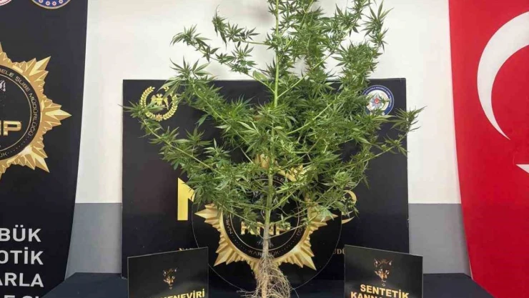 Karabük'te Uyuşturucu Operasyonu