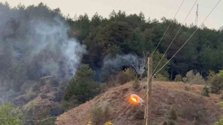 Karabük'teki Yangın 3 Saatte Kontrol Altına Alındı