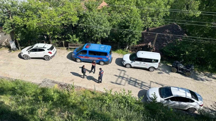 Karabük'teki Köpek Ölümleriyle İlgili İnceleme Başlatıldı