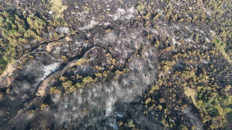 Karabük'teki Orman Yangını 12 Saatte Kontrol Altına Alındı