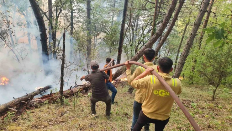 Karabük'teki Orman Yangınına 205 Personel Ve 63 Araçla Müdahale Sürüyor