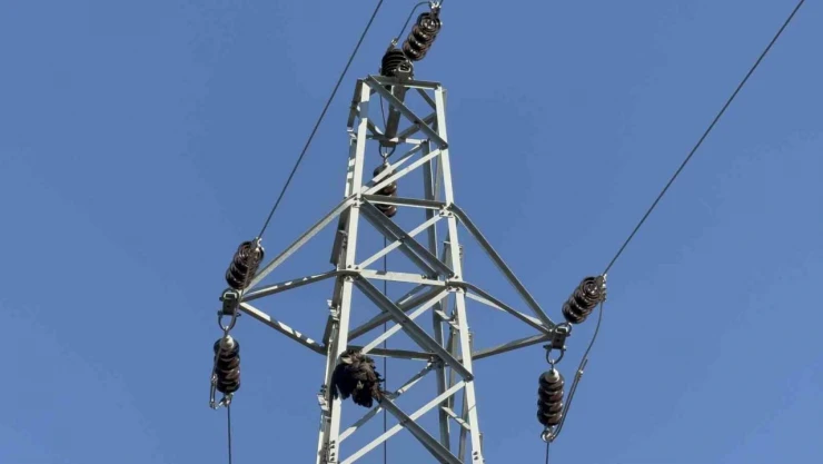 Karabük'teki Orman Yangınında Önemli Bir İddia Ortaya Atıldı