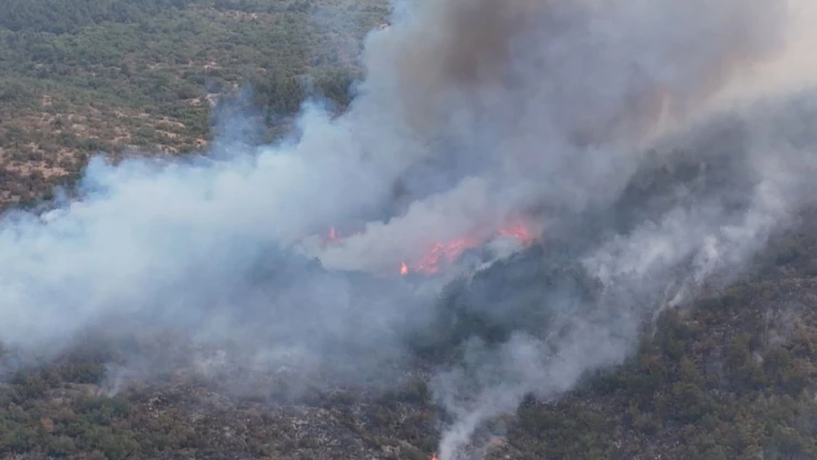 Karabük'teki Yangınla İlgili 5 Kişi Gözaltına Alındı