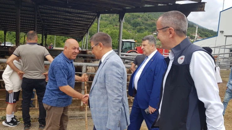 Karabük Valisi Gürel, kurbanlık pazarını gezdi