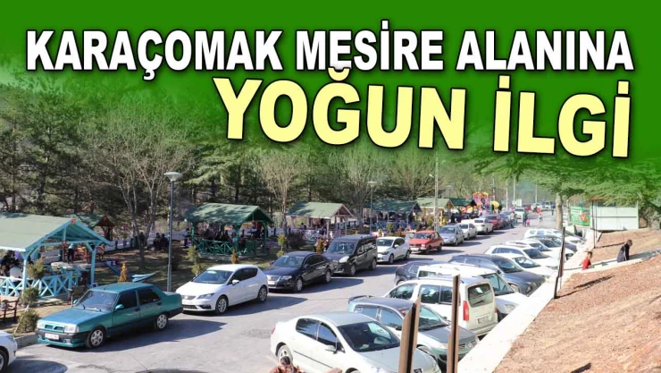 Karaçomak Mesire Alanına Yoğun İlgi