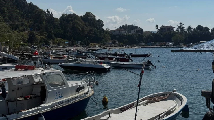 Karadeniz'de Bu Yıl Hamsi Beklentisi Büyük