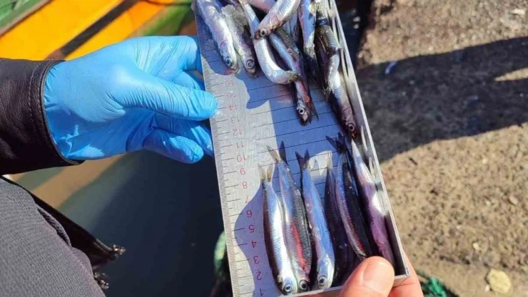 153 Tekneye E-Seyir Onayı Verildi