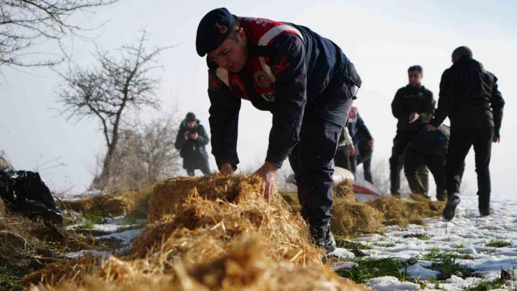 Yiyecek Bulamayan Yılkı Atları İçin Ekipler Devrede