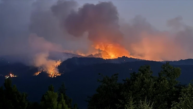 Kastamonu Belediye Başkanı Hasan Baltacı'dan Başsağlığı Mesajı