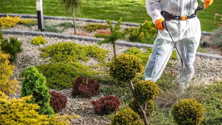 Kastamonu Belediyesi, İlaçlama Rotalarını Açıkladı