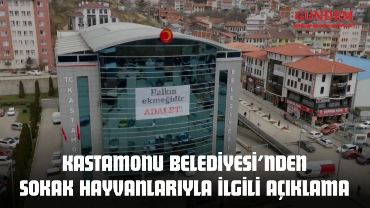 Kastamonu Belediyesi'nden Sokak Hayvanlarıyla İlgili Açıklama
