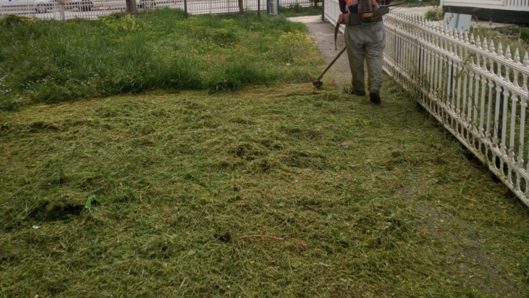 Kastamonu Cide'de yaz temizliği