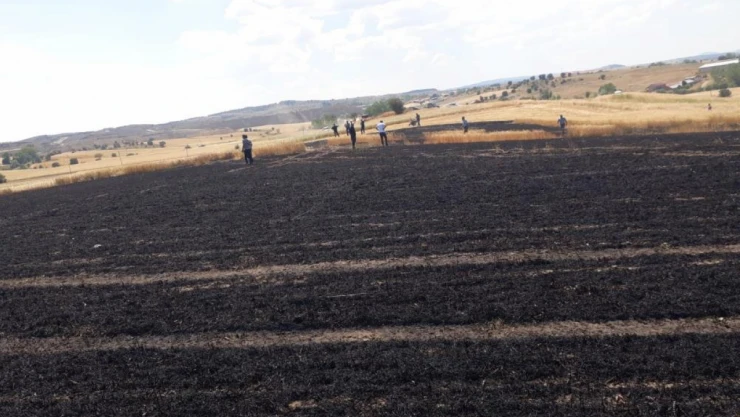 Kastamonu'da 15 Dönüm Buğday Tarlası Küle Döndü