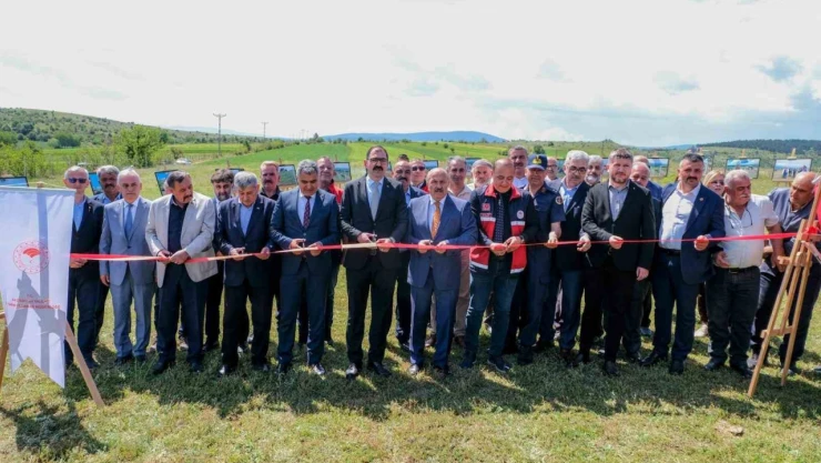 Kastamonu'da 4 Yıllık Çalışmayla 483 Dekar Mera Alanı Oluşturuldu