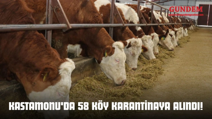 Kastamonu'da 58 Köy Karantinaya Alındı!