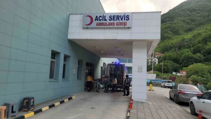 Akrep Soktu, Hastanelik Oldu!