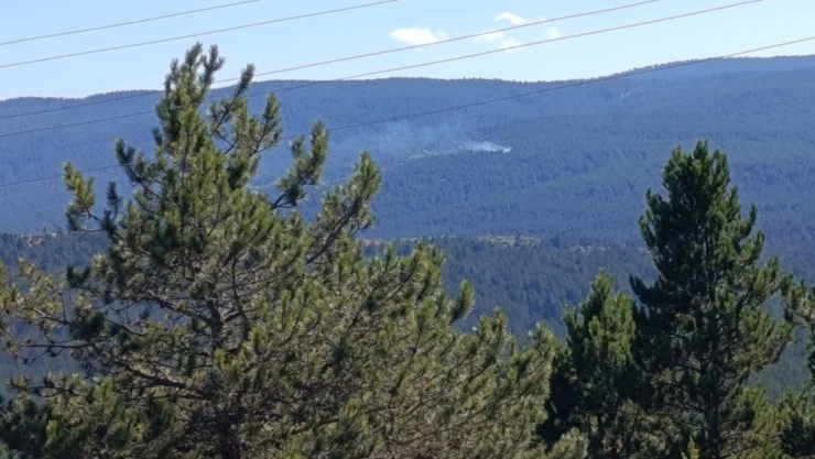 Kastamonu'da Alevler Yükseldi!