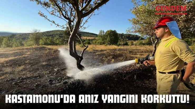 Kastamonu'da Anız Yangını Korkuttu!