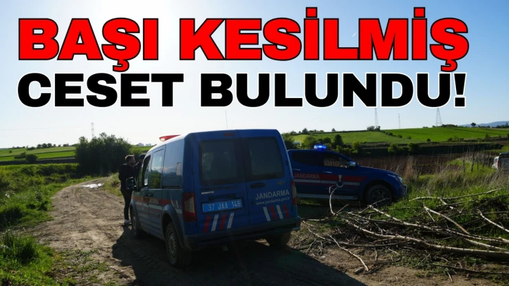Kastamonu'da Başı Kesilmiş Ceset Bulundu