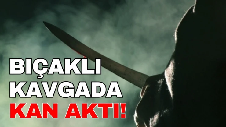 Kastamonu'da Bıçaklı Kavga