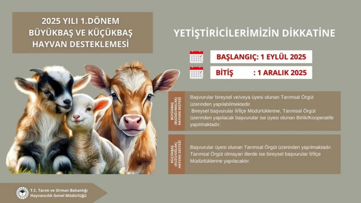 Kastamonu'da Büyükbaş ve Küçükbaş Hayvan Destekleme Başvuruları Başlıyor