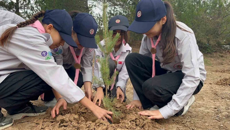 Kastamonu'da Fidanlar Toprakla Buluştu