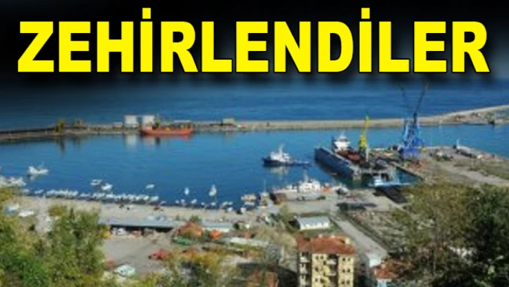 Kastamonu'da iki kişi balık ambarına düşerek zehirlendi