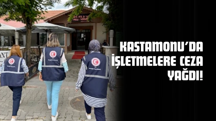 Kastamonu'da İşletmelere Ceza Yağdı: 16 İhlale 50 Bin TL'nin Üzerinde Ceza