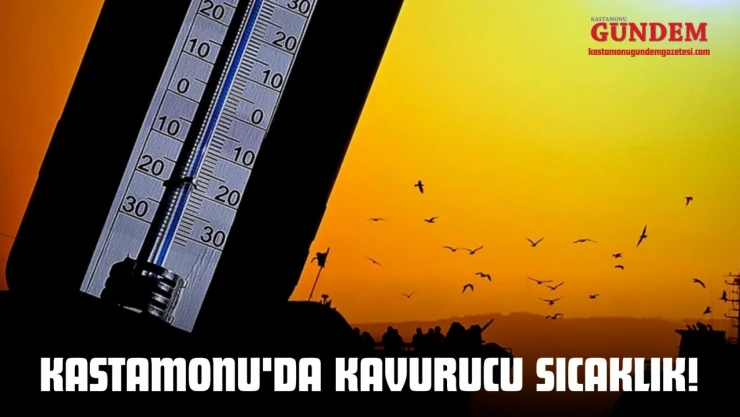 Kastamonu'da Kavurucu Sıcaklık!