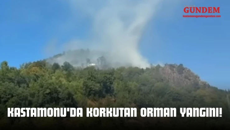 Kastamonu'da Korkutan Orman Yangını!