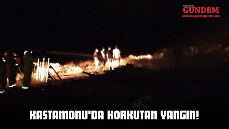 Kastamonu'da Korkutan Yangın!