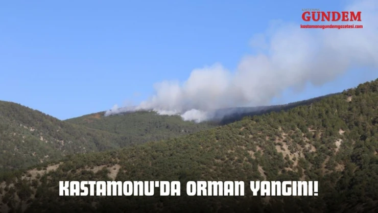 Kastamonu'da Orman Yangını!