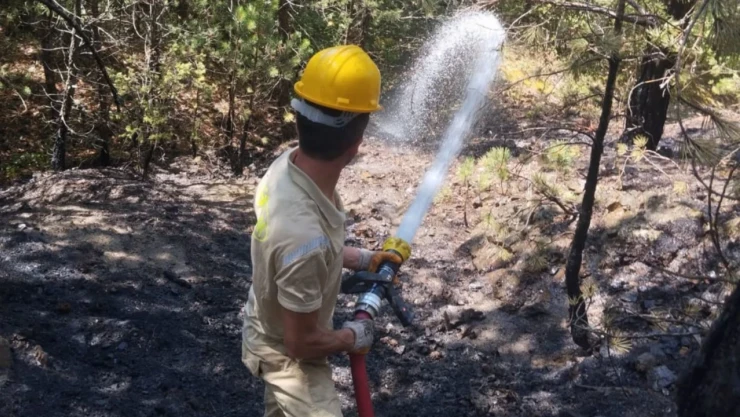 Kastamonu'da Orman Yangını!