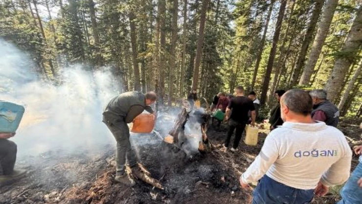 Kastamonu'da Orman Yangını