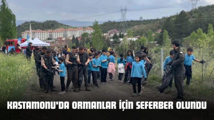 Kastamonu'da Ormanlar İçin Seferber Olundu