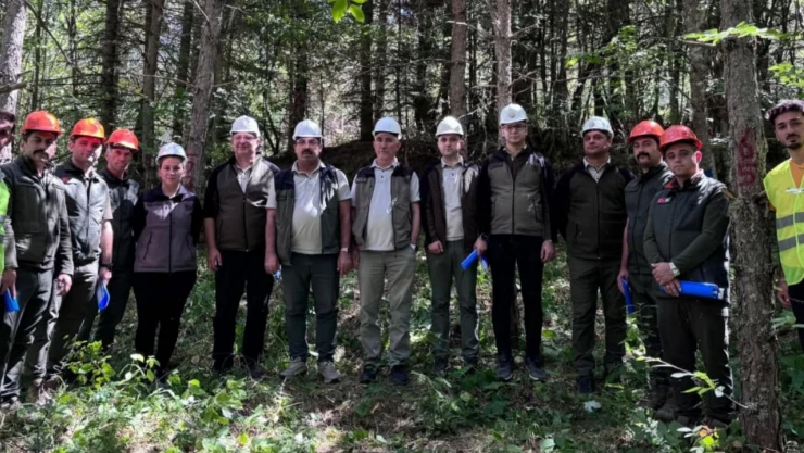 Kastamonu'da Ormanlarda Sıklık Bakımı Tatbikatı Gerçekleştirildi