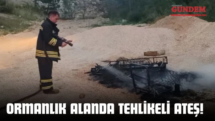 Kastamonu'da Ormanlık Alanda Tehlikeli Ateş!
