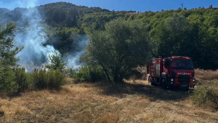 Kastamonu'da Ormanlık Alanda Yangın