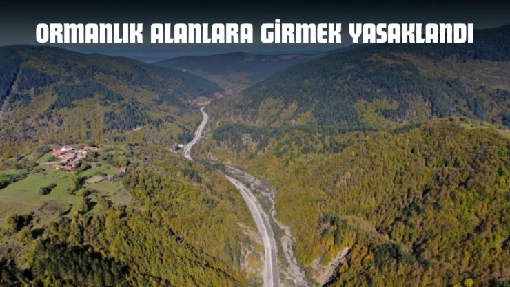 Kastamonu'da Ormanlık Alanlara Girmek Yasaklandı