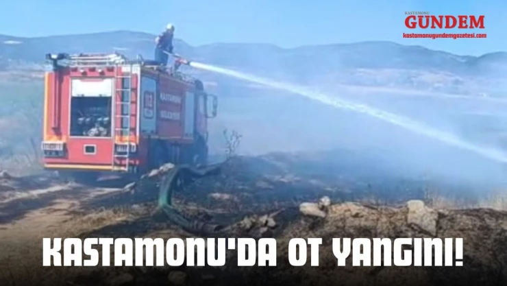 Kastamonu'da Ot Yangını!