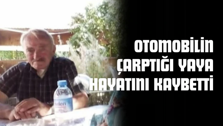 Kastamonu'da Otomobilin Çarptığı Yaya Hayatını Kaybetti